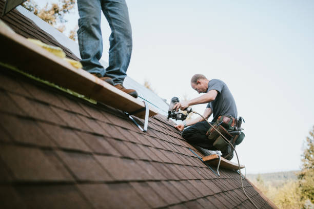 Professional Roofing Contractor in Minot, ND